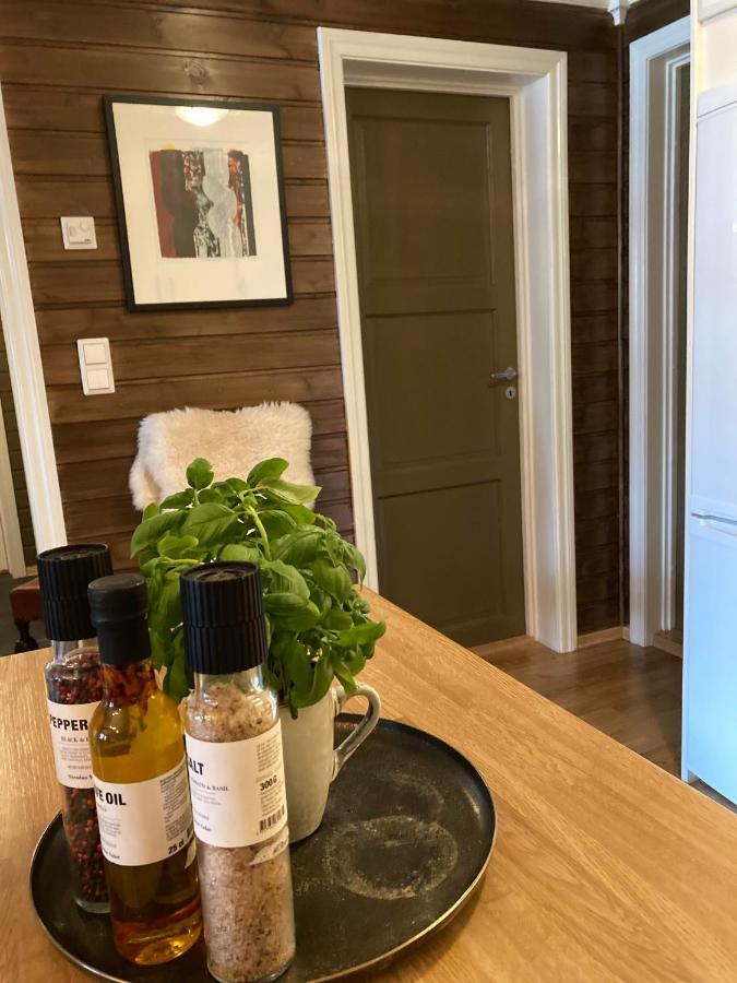 Apartamento Bo Lunt Og Koselig Pa Filefjell Tyinkrysset Exterior foto